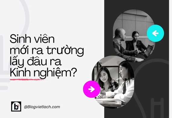 Sinh viên mới ra trường làm gì để có kinh nghiệm