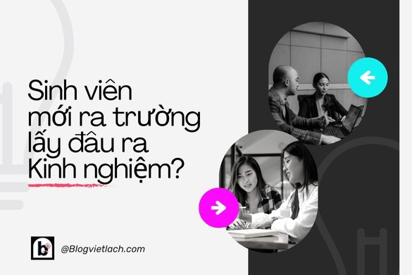 Sinh viên mới ra trường làm gì để có kinh nghiệm